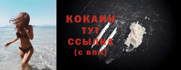 крисы Александровское